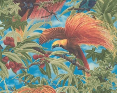 Paradijsvogel behang jungle 6954-13