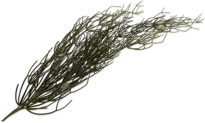 Silk-ka Kunstplant-Hangplant voor Binnen Succulent Groen 116 cm