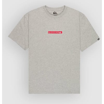 Quiksilver DNA Clicker T-Shirt grijs