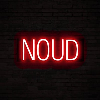 NOUD - Neon LED Lamp Kinderkamer | SpellBrite | 44,09 x 16 cm | 6 Dimstanden & 8 Lichtanimaties | Naamlamp Wandlamp Neon Verlichting