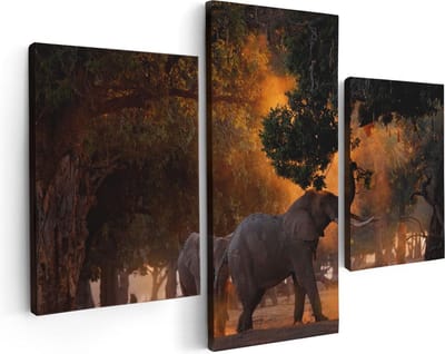 Artaza Canvas Schilderij Drieluik Twee Olifanten In Het Bos - 90x60 - Foto Op Canvas - Canvas Print