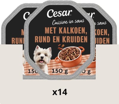 Cesar Hondenvoer - Cuisine - Kalkoen & Rund in Saus - Kuipjes 14x150g