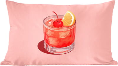 Sierkussens - Kussentjes Woonkamer - 60x40 cm - Glas - Ijsblokjes - Citroen - Kers