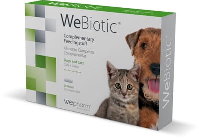 WePharm WeBiotic - 30 Tabletten - Probiotica en Prebiotica voor Ondersteuning van de Darmen