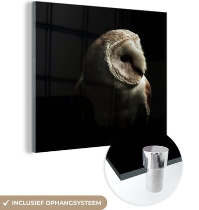 MuchoWow® Glasschilderij 50x50 cm - Schilderij acrylglas - Uil - Vogel - Portret - Foto op glas - Schilderijen