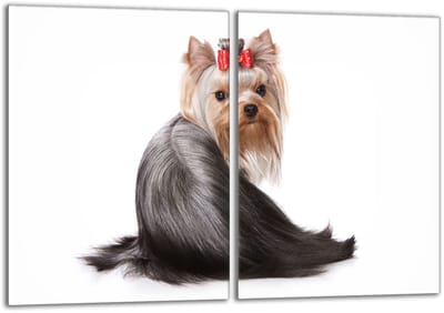 TMK ArtDeko Serie - Glazen Snijplank Bescherming - 40x52 cm - Hond Motief