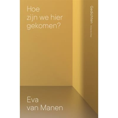 Hoe Zijn We Hier Gekomen? - Eva van Manen