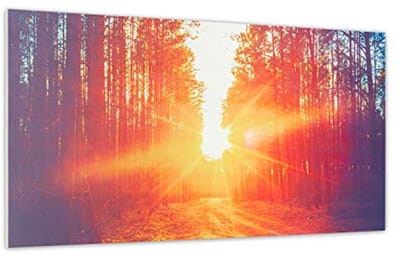Infrarood Verwarming Paneel met Uniek Ontwerp - Geluidsloos en Wandmontage