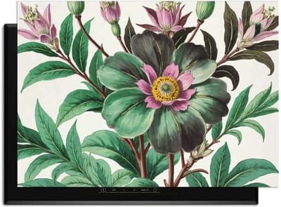 KitchenArt - Botanical Grace – Inductie Beschermer - 83x51.5 cm - Kookplaat Beschermer - Luxe Afdekplaat Inductieplaat - Anti-slip & Oprolbaar - Beschermmat Inductiekookplaat