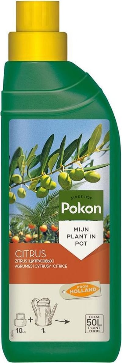 Pokon Citrus Planten Voeding - 250ml - Voor Citrus en Mediterrane planten