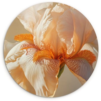 WallCircle® Wandcirkel 120x120 cm - Muurcirkel Close up - Oranje - Iris - Muurdecoratie woonkamer - Wanddecoratie slaapkamer - Kamer decoratie accessoires - Ronde schilderijen XXL
