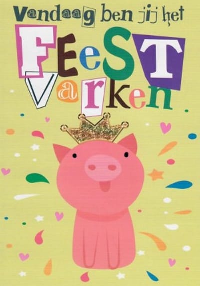 Vandaag ben jij het feestvarken! Van harte gefeliciteerd! Een grappige kaart met een vrolijk varken. Een leuke kaart om zo te geven of om bij een cadeau te voegen. Een dubbele wenskaart inclusief envelop en in folie verpakt.