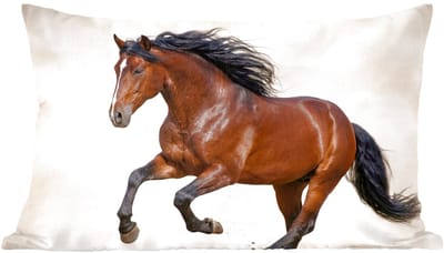 Sierkussens - Kussentjes Woonkamer - 60x40 cm - Paard - Galop - Energie