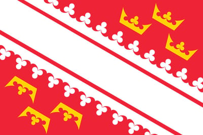 Vlag Elzas 100x150cm