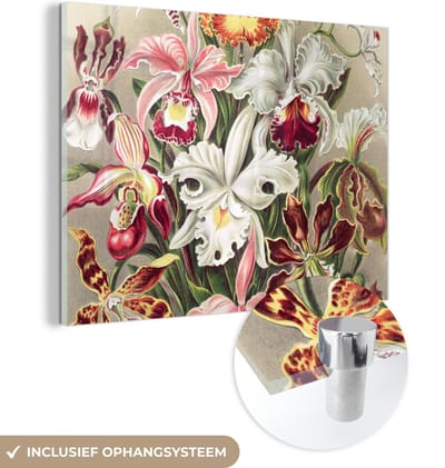 MuchoWow® Glasschilderij 40x30 cm - Schilderij acrylglas - Bloemen - Ernst Haeckel - Vintage - Orchidee - Foto op glas - Schilderijen