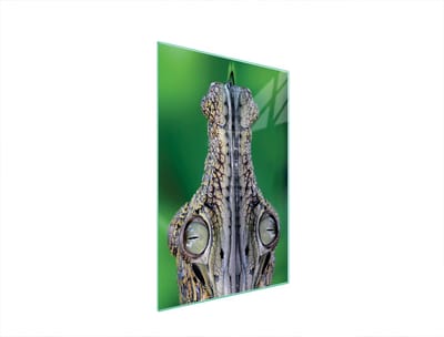 TMK ArtDeko - Snijplank - Krokodil - 35x52 cm - Glas