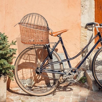 Fiets Achterzitje Houder - Fietsmand Hond - Spullen Vervoeren - Waterdicht Met Hoes - 50x31x21cm - Niet gespecificeerd