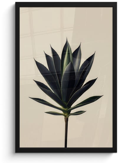 Poster in lijst - Fotolijst 40x60 cm - Posters - Agaveplant - Symmetrisch - Groen - Posterlijst zwart - Decoratie - Wanddecoratie woonkamer - Muurdecoratie slaapkamer