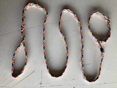 Bianca's Jachtlijn - 200 cm - Medium - Regenboog