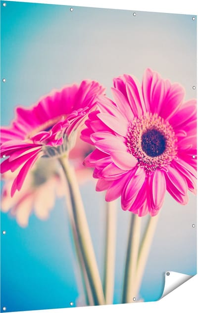 Gards Tuinposter Twee Roze Anjers - Bloemen - 120x160 cm - Tuindoek - Tuindecoratie - Wanddecoratie buiten - Tuinschilderij