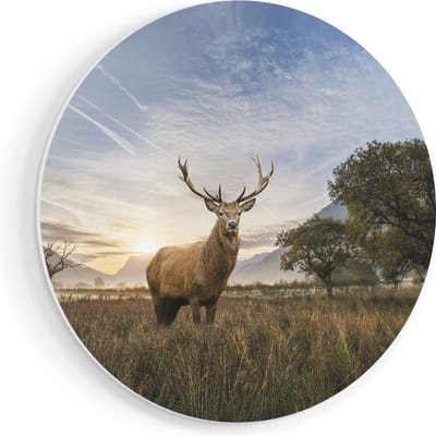 Artaza Forex Muurcirkel Hert In Het Landschap - 80x80 cm - Groot - Wandcirkel - Rond Schilderij - Wanddecoratie Cirkel