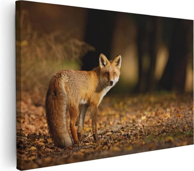 Artaza Canvas Schilderij Vos - 30x20 cm - Klein - Wanddecoratie Herfst - Muurdecoratie Dieren - Schilderijen Op Canvas Bos