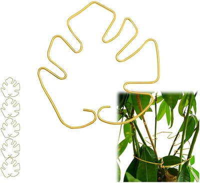 QTTVBTNA - Plantensteun - Plantenring - Stabiele Steun voor Klimplanten - Geschikt voor Binnen- en Buitenpotten - Bevorder plantengroei - Goud - 18x16 cm - 5 Stuks