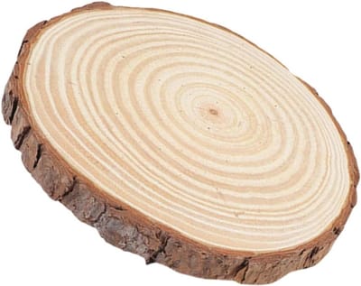 Houten Stapsteen - Tuindecoratie Steen - Tuin Decoreren - Natuurlijke Houtlook - 28 x 28 x 2 cm - Koffie