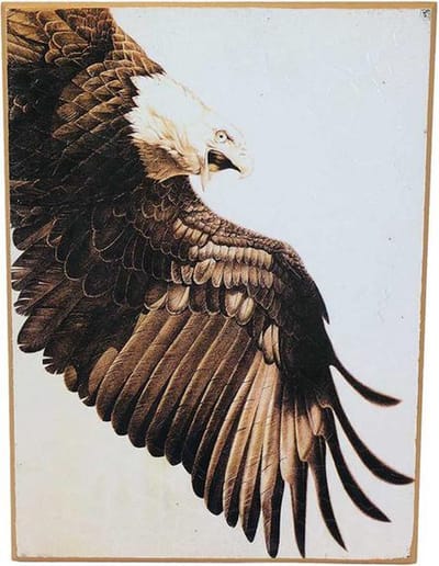PIA Soft Toys - Adelaar schilderij - 29 cm x 39 cm