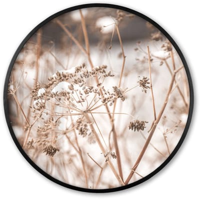 Poster in lijst Rond - Fotolijst 60x60 cm - Posters - Droogbloemen - Wit - Planten - Ronde posterlijst zwart - Decoratie - Wanddecoratie woonkamer - Muurdecoratie slaapkamer