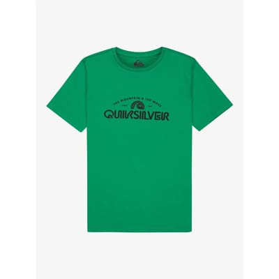 Quiksilver Ev Corpo Classic T-shirt Met Korte Mouwen Groen 14 Years Jongen