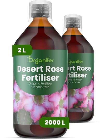 Vloeibare Meststof Voor Woestijnroos 2X1 L Voor 2000 L - Npk 2-1-8 - Sterke Caudexontwikkeling - Rijke Bloei - Levendige Bloemen - Sterk Wortelstelsel - Compacte Groei - Hittebestendig - Verhoogt De Tolerantie Voor Hitte - Organifer
