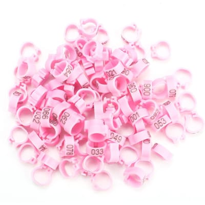 100 STUKS/Zak 8MM 001-100 Genummerde Plastic Letter Duif Vogel Pootringen(wit) Pink pink