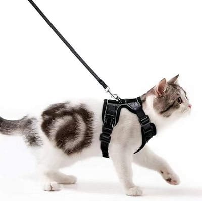 Lexium Kattenharnas - Kattentuigje met looplijn - Katten harnas - Kattenharnas met leiband - Kattenharnas met looplijn - Kattenlijn - Kattentuig