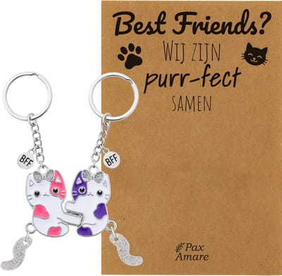 BFF Sleutelhanger voor 2 'Wij zijn Purr-fect samen' - Magnetische Katjes - Sleutelhanger set op Cadeau Kaartje - Zilverkleurig - Vriendschap Symbool - Pax Amare