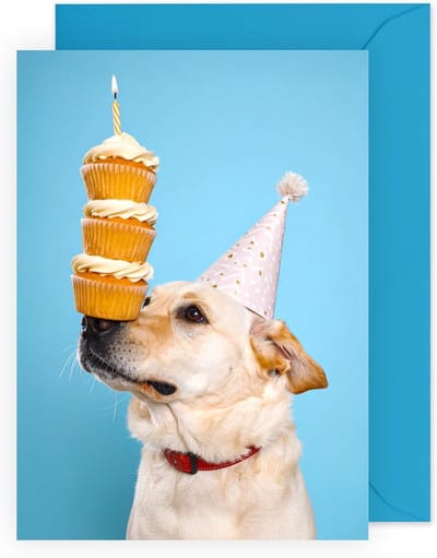 Verjaardagskaart Hond - Wenskaart Feest - Verjaardag Wensen - Met Stickers - 120 x 170 mm - Blauw