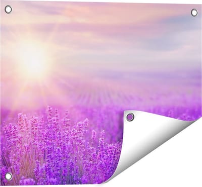 Gards Tuinposter Bloemenveld met Paarse Lavendel - 50x40 cm - Tuindoek - Tuindecoratie - Wanddecoratie buiten - Tuinschilderij
