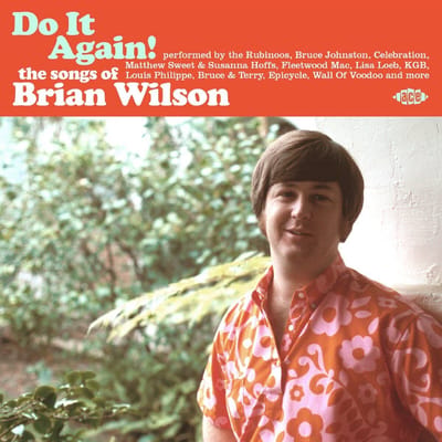 Do It Again! The Songs Of Brian Wilson - V/a (various Artists)