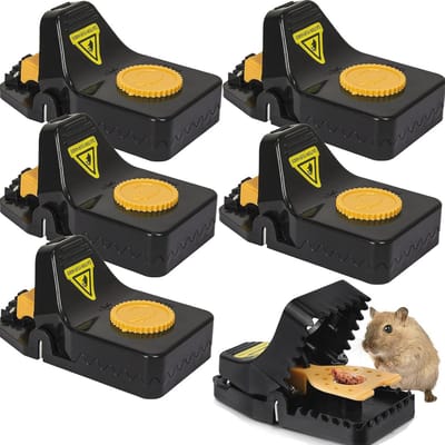 Grote herbruikbare muizenval - 6 stuks voor keuken, magazijn, tuin, kantoren .