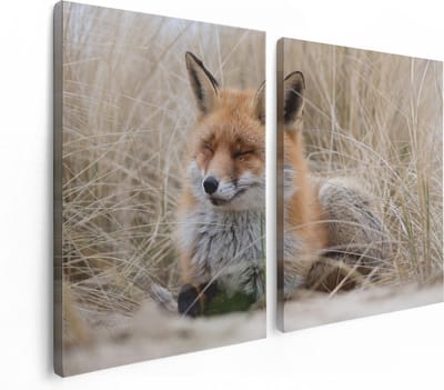 Artaza Canvas Schilderij Tweeluik Vos in de Duinen  - 120x80 - Foto Op Canvas - Canvas Print