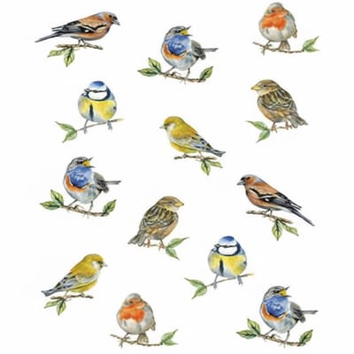 Ambiente Keukendoek Bird Species wit 70x50cm