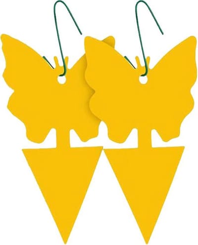Lijmvallen voor Insect (12 st)