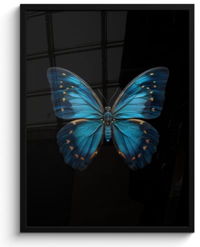 Poster in lijst - Fotolijst 50x70 cm - Posters - Vlinder - Blauw - Contrast - Posterlijst zwart - Decoratie - Wanddecoratie woonkamer - Muurdecoratie slaapkamer