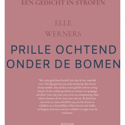 Vensterlicht - ELLE WERNERS