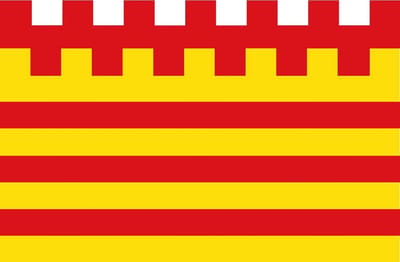 Vlag Pelt 100x150cm