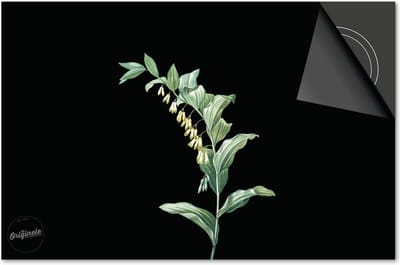 Inductie beschermer 60x60 - afdekplaat inductie mat - Dietrix Kookplaat beschermer - Exclusief - Botanical - Plantje kelkjes op zwart