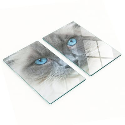 Set van twee glazen snijplanken met kattenogen, 2x30x52 cm