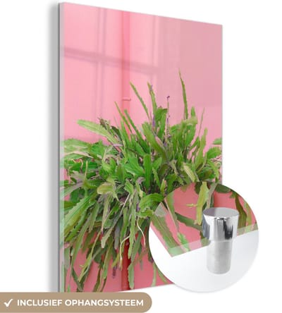 MuchoWow® Glasschilderij 30x40 cm - Schilderij acrylglas - Plant - Zomer - Roze - Foto op glas - Schilderijen