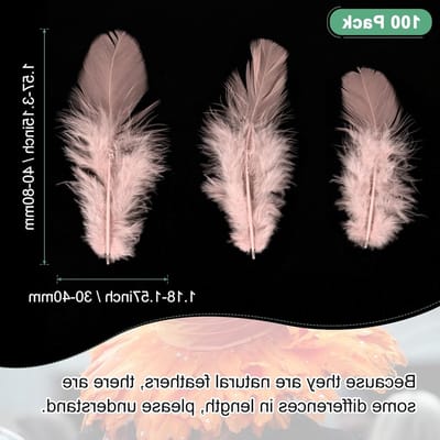 Set van 100 Natuurlijke Pluizige Hanenveren 4-8 cm voor Ambachten, Bruiloften en Decoraties