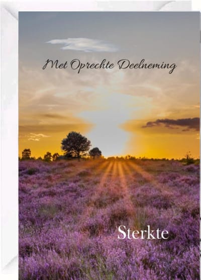 Premium Cadebo Luxe Condoleance kaart - Rouwkaart - Sterktekaart - Met Oprechte Deelneming - Gevouwen kaart met envelop - 17x12cm